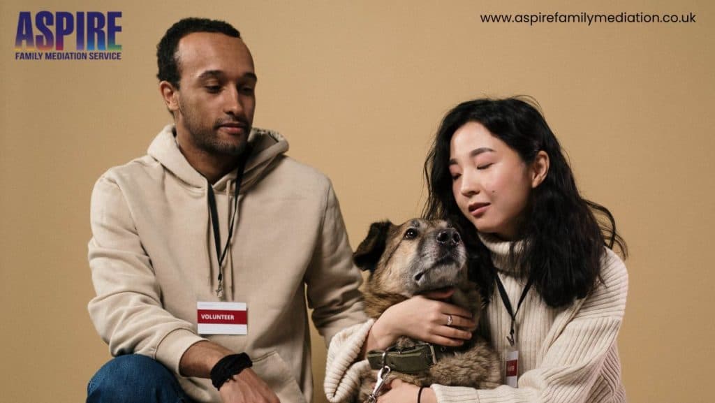pet arrangements after separation